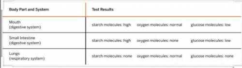 The test report above shows the level of molecules in different parts of the patient’s body. How wou