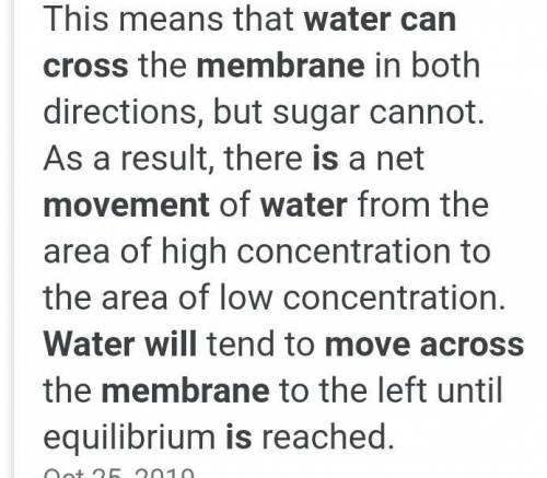 When will water stop moving across a membrane?