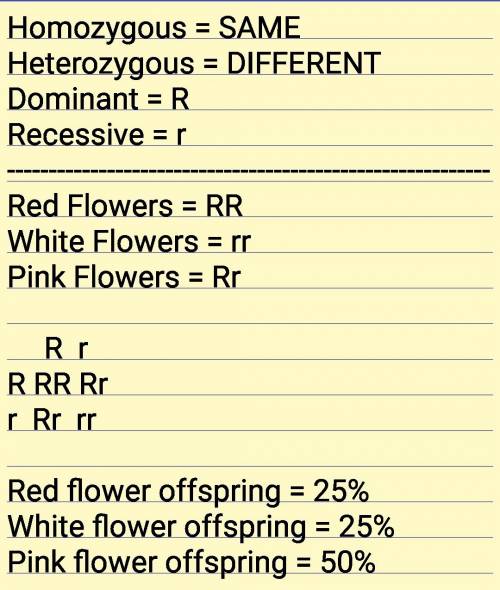 Aplant shows incomplete dominance in flower color. red flowers are homozygous dominant, white flower
