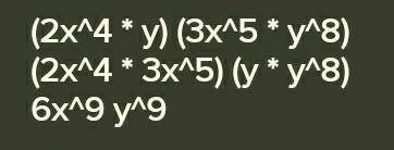 The product (2x^4 y) (3x^5 y^8) is equivalent to: