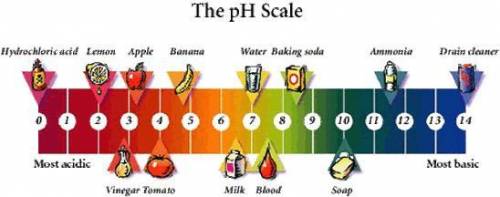Name some acidic and alkaline substances that you use at home