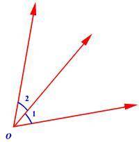 How do you find adjacent angles