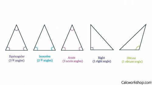 B) Name the triangle based on its angles.