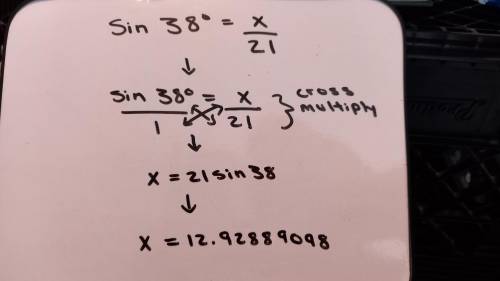 Sin 38° = x/21How to solve? what is answer?