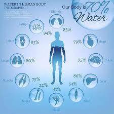 Water makes up between what present in your body?