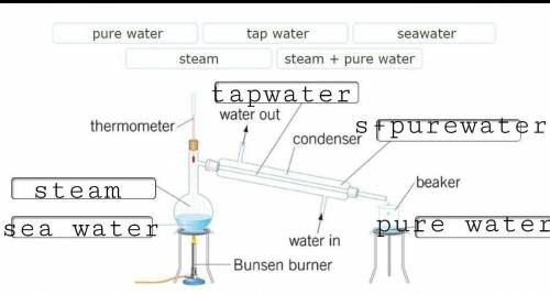 Marcellus is using distillation to obtain pure water from seawater. His apparatus is shown below. Pu