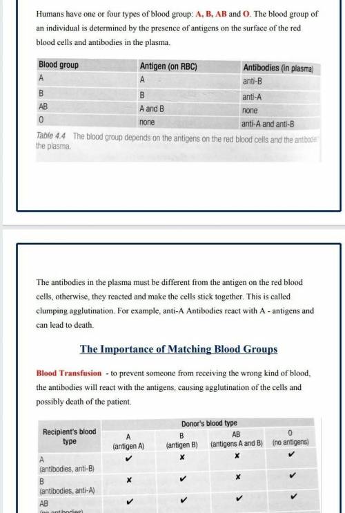 humans have one of four blood types: A,B, AB, or O. Explain what determines a persons blood type. Wh