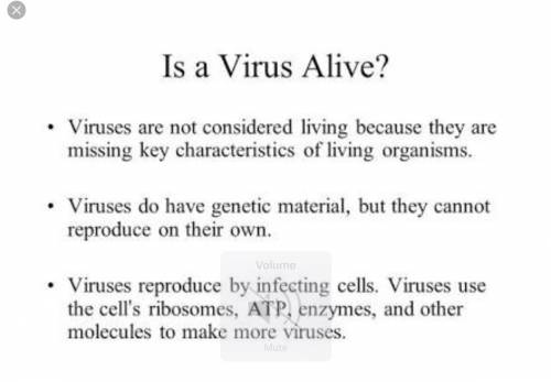 Explain, with supporting examples, whether or not viruses are alive.