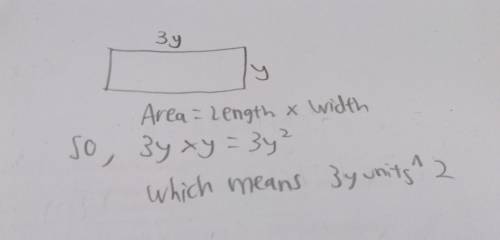 The length of a rectangle is three times the width of the rectangle. if the width of the rectangle i