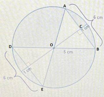 What is the area of the shaded region?

(25/1 - 48) cm
(2571 - 30) cm
(2572 - 24) cm
(2571 – 12) cm2