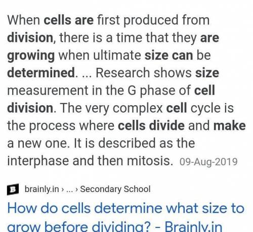 How do cells determine what size to grow before dividing