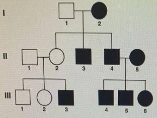 The pedigree below tracks Duchenne Muscular Dystrophy (DMD) through several generations. DMD is an X