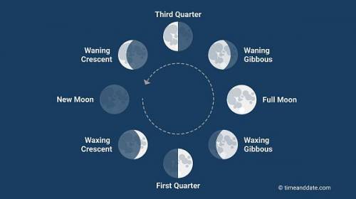 1.Beginning with the new moon, place the phases of the moon in order. Identify each phase.

Say here