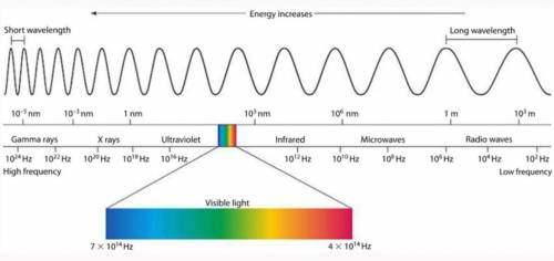 PLS HELP ASAP
Describe how the wavelengths of energy is organized on the spectrum