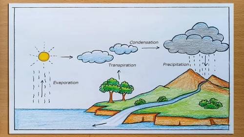 Can some one draw a water cycle lable for me plz ill mark brainlist