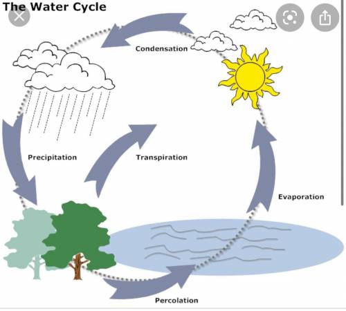 Can some one draw a water cycle lable for me plz ill mark brainlist