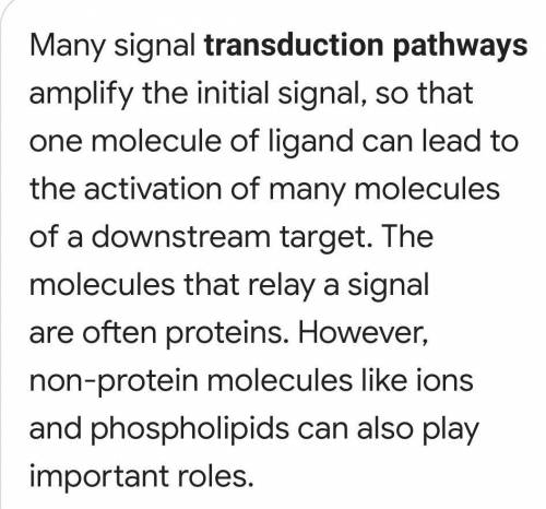 Why is transduction considered a pathway?