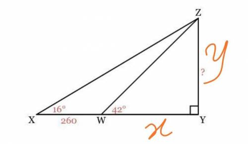 In ΔXYZ, ∠Y=90° and ∠X=16°. ∠ZWY=42° and XW=260. Find the length of ZY to the nearest integer. (9th