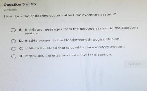 How does the endocrine system affect the excetory system?