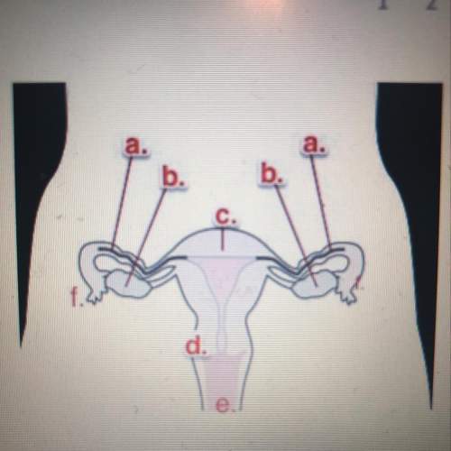 Consider he image of the female reproductive organs letter b in the image represents  ovaries&lt;