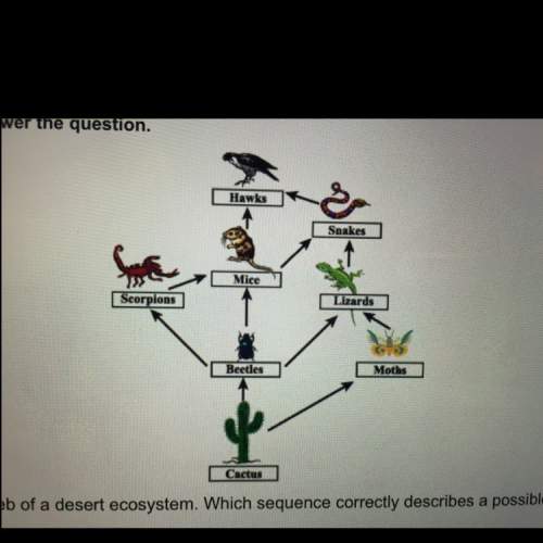 The diagram shows the food web of desert ecosystem. which sentence correctly describes a possible fl