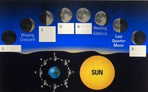 18  correctly label the phases of the moon. make sure to indicate your answe