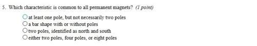 Which characteristic is common to all permanent magnets?