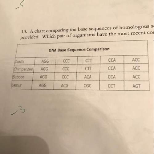 13. a chart comparing the base sequences of homologous segments of dna from various provided w