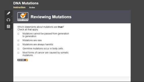 Which statements about mutations are true? check all that apply.
