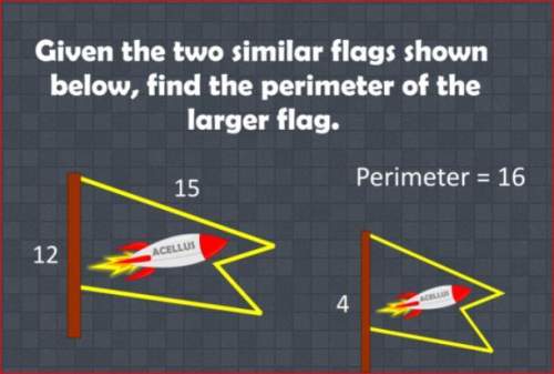 Find the perimeter of the larger flag.