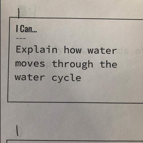 Explain how water moves through the water cycle