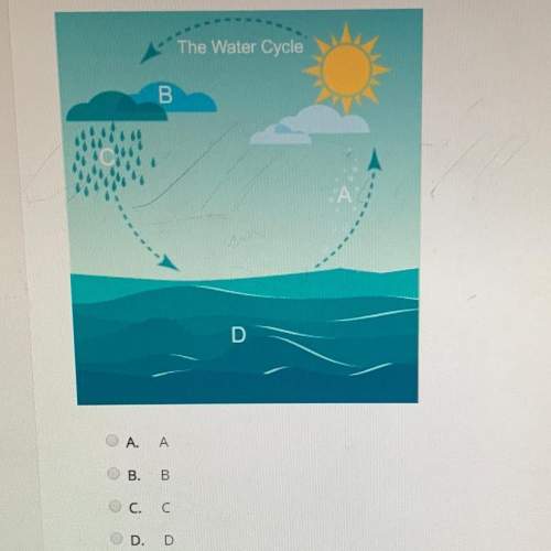 At which point does condensation occur in this water cycle diagram?  the water cycle b