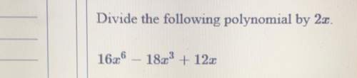 Divide the following polynomial by 2x