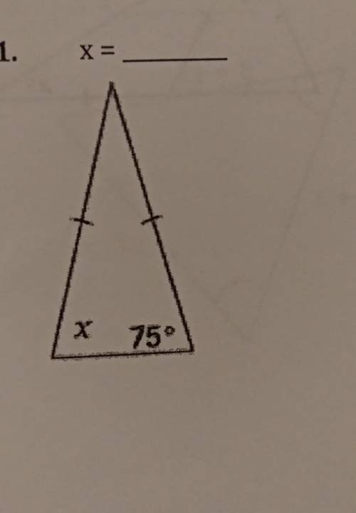 Can someone me just give me what x is..