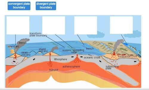 Identify the types of tectonic plate boundaries.