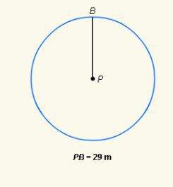 What is the circumference of circle p? express your answer in terms of π (pi).