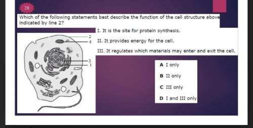 Function of cell structure description