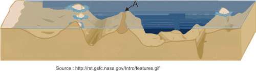 the diagram below shows some ocean floor features.which of these statements