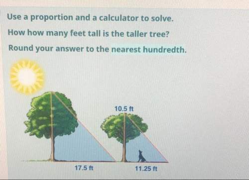 How many feet tall is the taller tree?