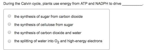During the calvin cycle, plants use energy from atp and nadph to drive