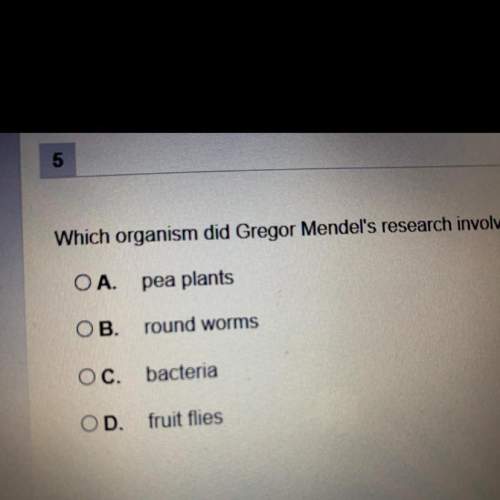 What organism did gregor mendel‘s research involves