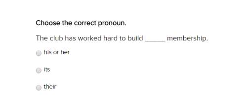 Plural/singular possessive pronouns