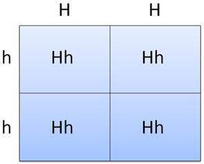The punnett square predicts the ratio of genotypes in the offspring, based on the genotypes of the p