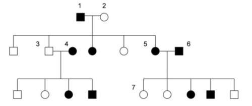 the following pedigree represents which type of inheritance? (hint: look at the