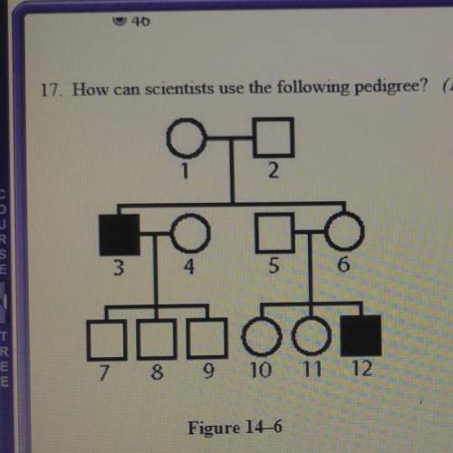 how can scientists use the following pedigree?  a. to confirm the principle of i