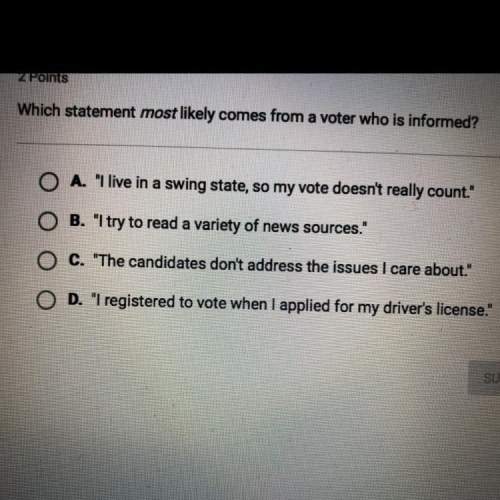 Which statement most likely comes from a voter who is informed