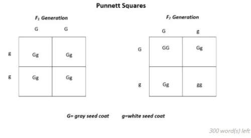 ()using the punnett square diagrams, answer the following questions:  (a) in which gener