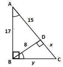 Simple question. easy points find x and