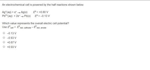 An electrochemical cell is powered by the half reactions shown below.