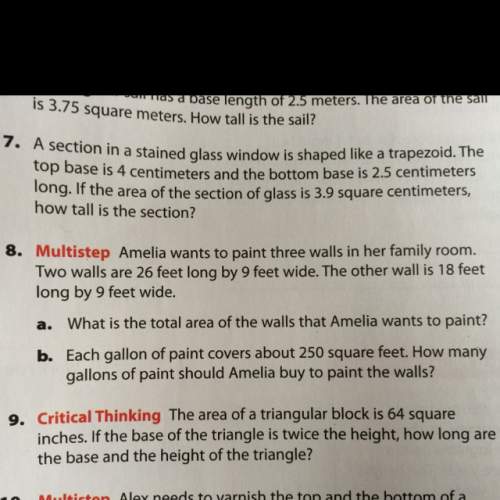 What is the total area of the walls that amelia wants to paint